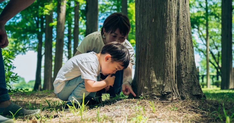 Family Travel Guide to Bishop, United States: Fun & Relaxation